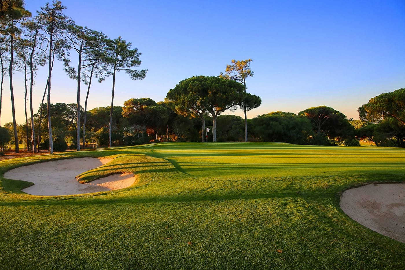 Vilamoura Old Course fairway framed by umbrella pine trees at golden hour